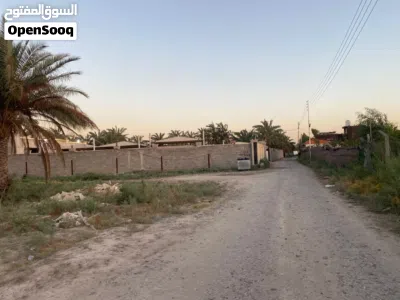 نص دونم ( 1،250 ) للبيع 4