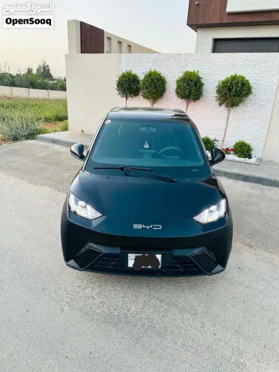 بي واي دي سيجول 2