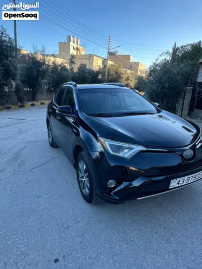 Toyota RAV 4 LE 4