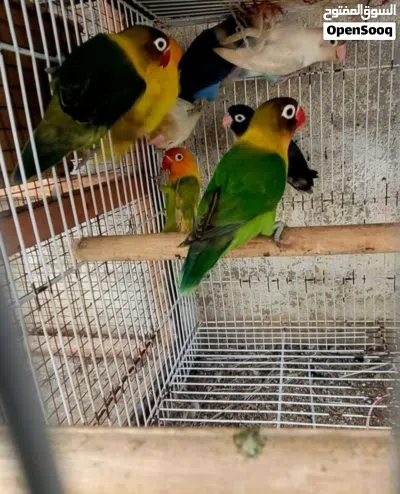 undefined 2