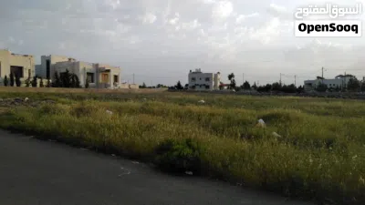 للبيع أرض سكنية مميزة أربعة دونمات في السرو الجنوبي 2