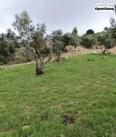 أرض للبيع في ماحص 3