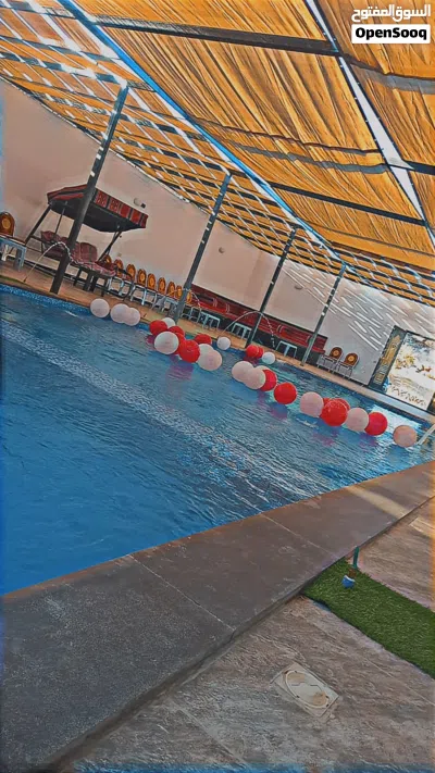 مزرعة وشاليه طلة الجبل ما بين الزرقاء وعمان في العالوك افتتاح جديد كبيرة جدا ومساحات كبيرة سعر مناسب 4