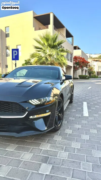Ford Mustang Standard 3