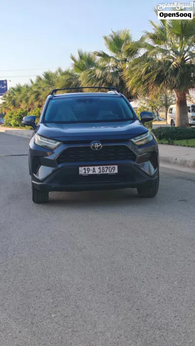 Toyota RAV 4 XLE 3