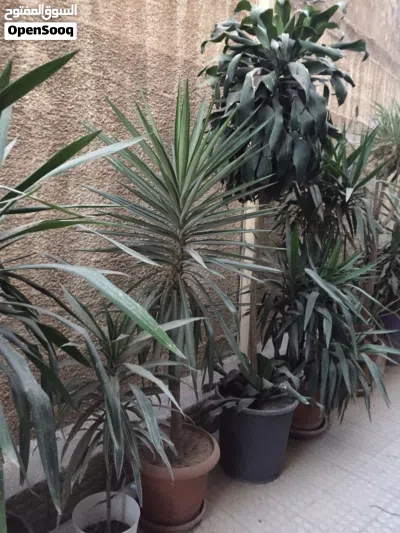 undefined 2