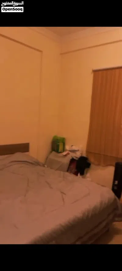 شقه للايجار 2