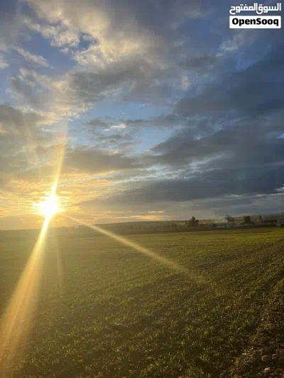 ارض فلاحية للبيع. Terrain à vendre 3