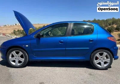 Peugeot 206 Standard 3