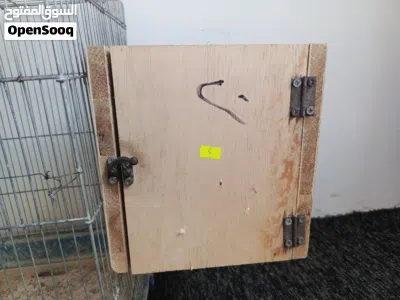 جوز كوكتيل الذكر اليف والانثى منتجه مع قفص كبير وكوخ 4