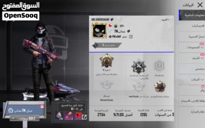 حساب ببجي للبيع 2