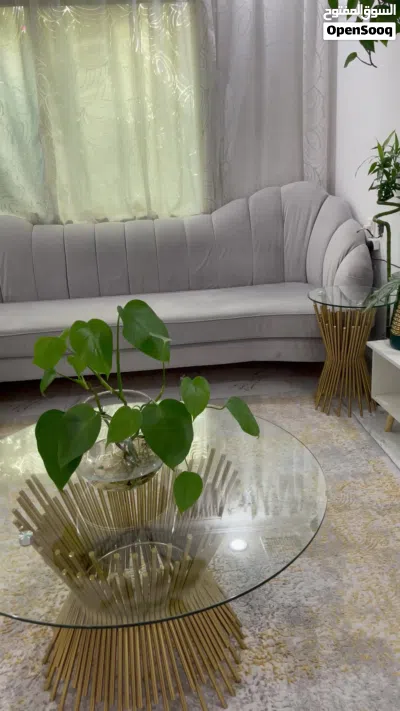 كنب sofa لون رمادي 4