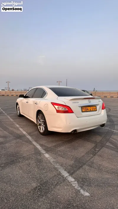 نيسان مكسيما SV 4