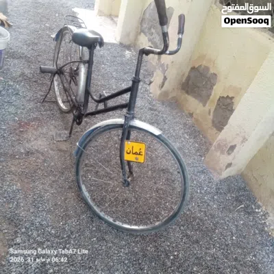 undefined 3