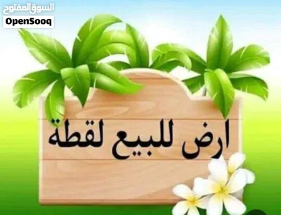 قطعتين ارض للبيع في المفرق ع مساحه 48042 سعر القطعه 26الف 4