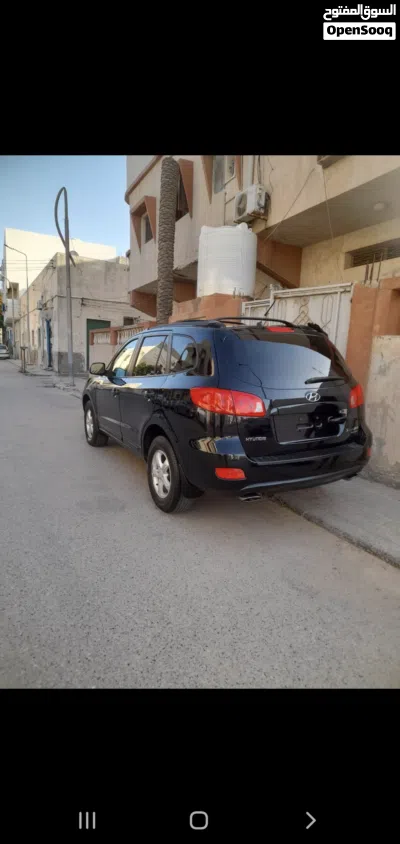 Hyundai Santa Fe Standard 2