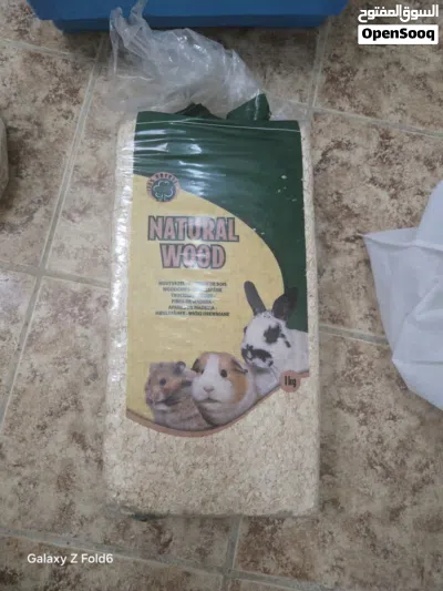 همستر روسي مع اغراضه للبيع hamster for sell 3