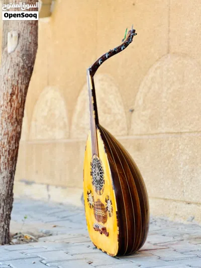 عود سيسم هندي شرقي 3