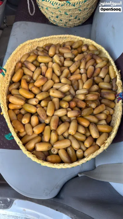 بيع رطب النغال ورطب الخنيزي بلجمله 2