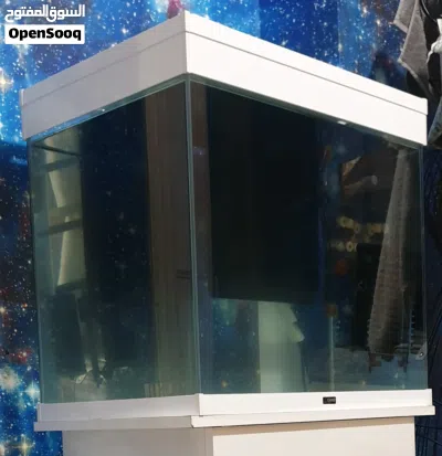 undefined 2