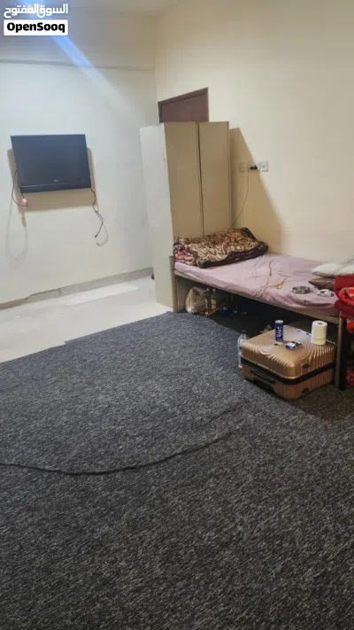 مشاركة سكن استديو كبير 3