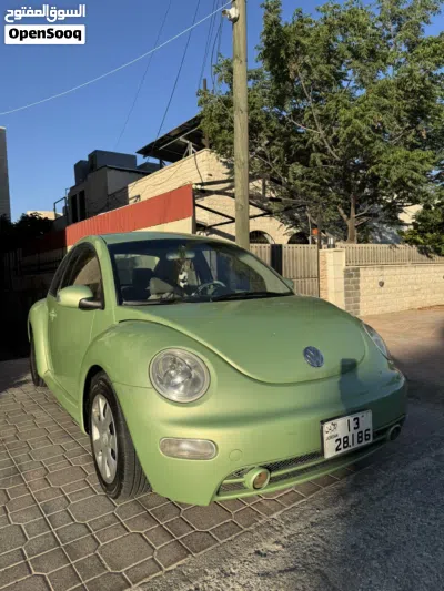 Volkswagen Beetle Standard 3