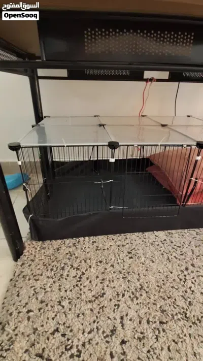 cage for pets 2
