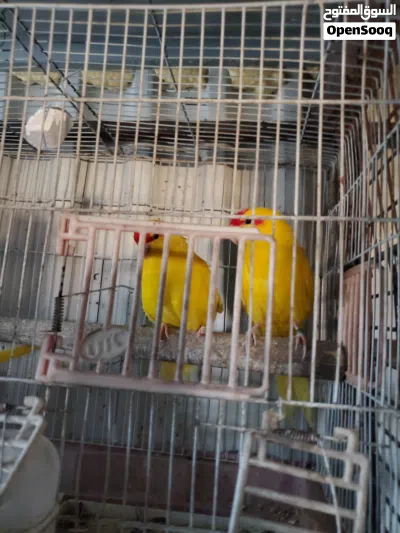 undefined 2