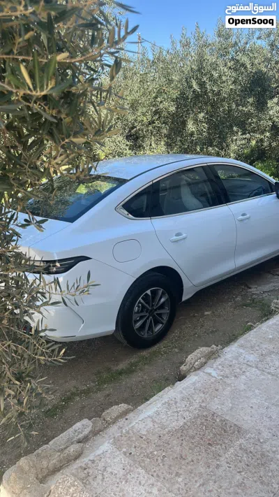 BYD Destroyer 05 4