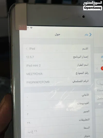 iPad mini 2 4