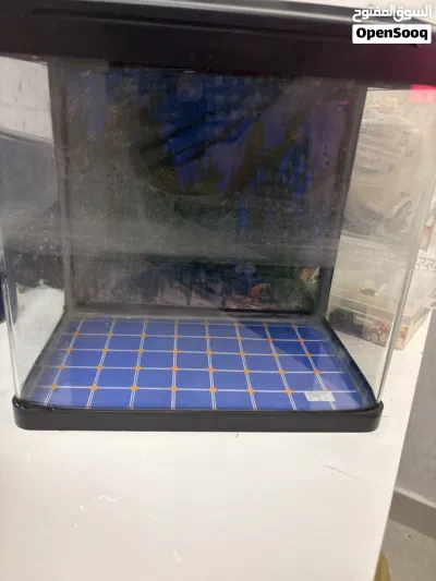 Fish tanks 2