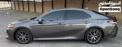 Toyota Camry XLE 3