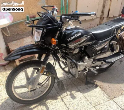 هاوجن اريس HJ150 3