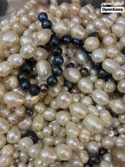 4 كيلو ونص لؤلؤ المياه العذبه 3
