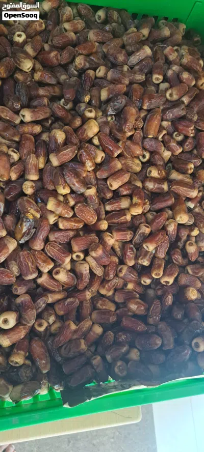 سح نغال جريروا للبيع 2