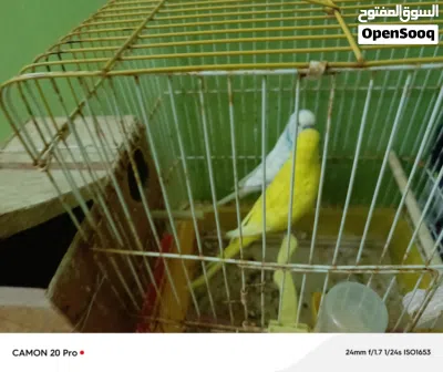undefined 2