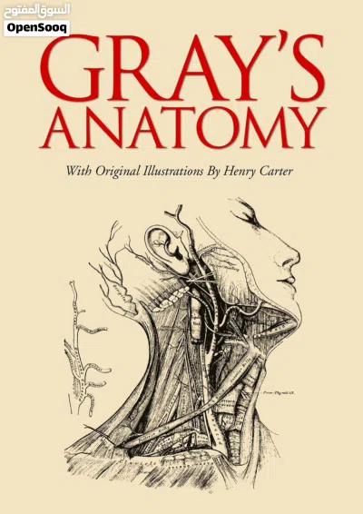 شرح مادة الاناتومي ( علم التشريح البشري ) لكل التخصصات الطبية - Anatomy teaching 2