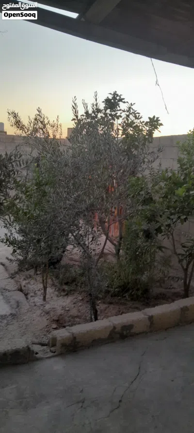 2021 بناء المنزل 2