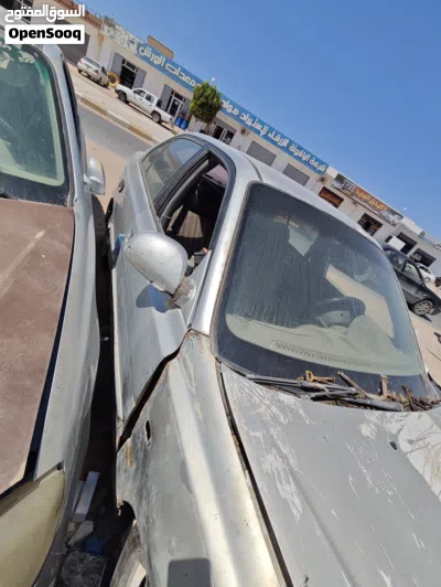 Hyundai Verna EX 2