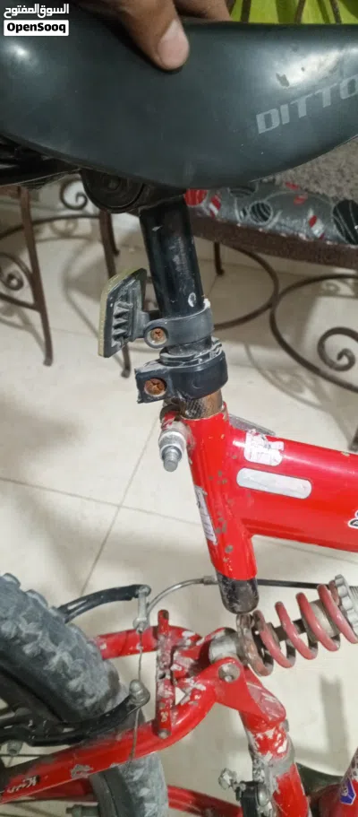 بسكليت للبيع 4