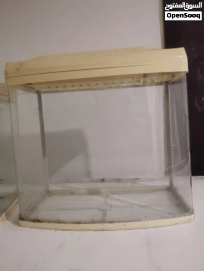 2 Pic of aquarium 2