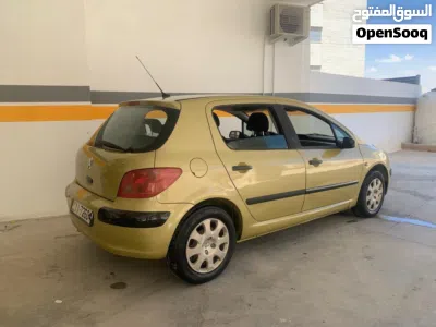 Peugeot 307 Standard 3