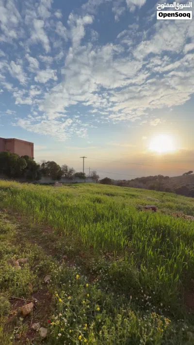 أرض مميزة بإطلالة غربية على البحر الميت بالقرب من عمّان 4