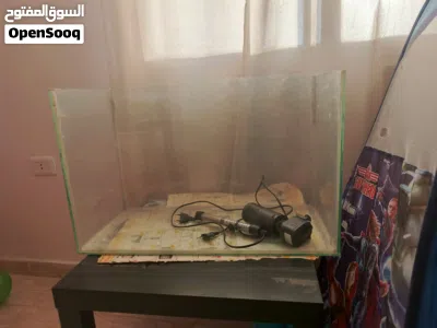 undefined 2