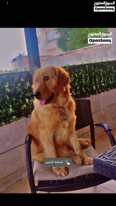 undefined 3
