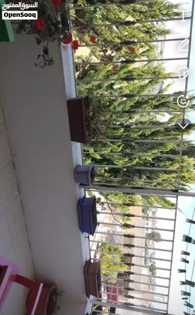 شقة للبيع مساحة واسعة طابق اول فني 3