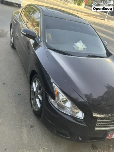 Nissan Maxima SR1 3
