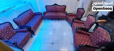انترية لون نبيتى 3