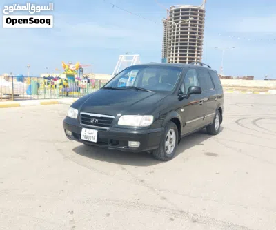 Hyundai Trajet 2