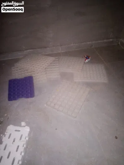 ماشاء الله تبارك الرحمن فقاسه بصلات علي نبي اتوماتيك تسع 356 بيضه نسبت تفقيس ماشاه الله موجودات بجرش 2